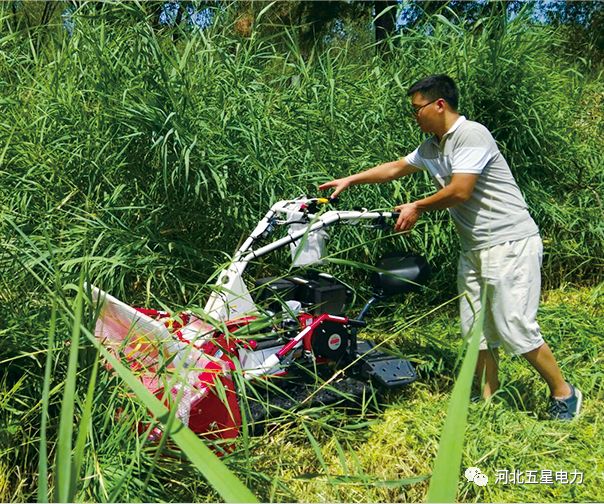 瓦爾特·御虹”WX-800型履帶自行走式堤防割草機(jī)